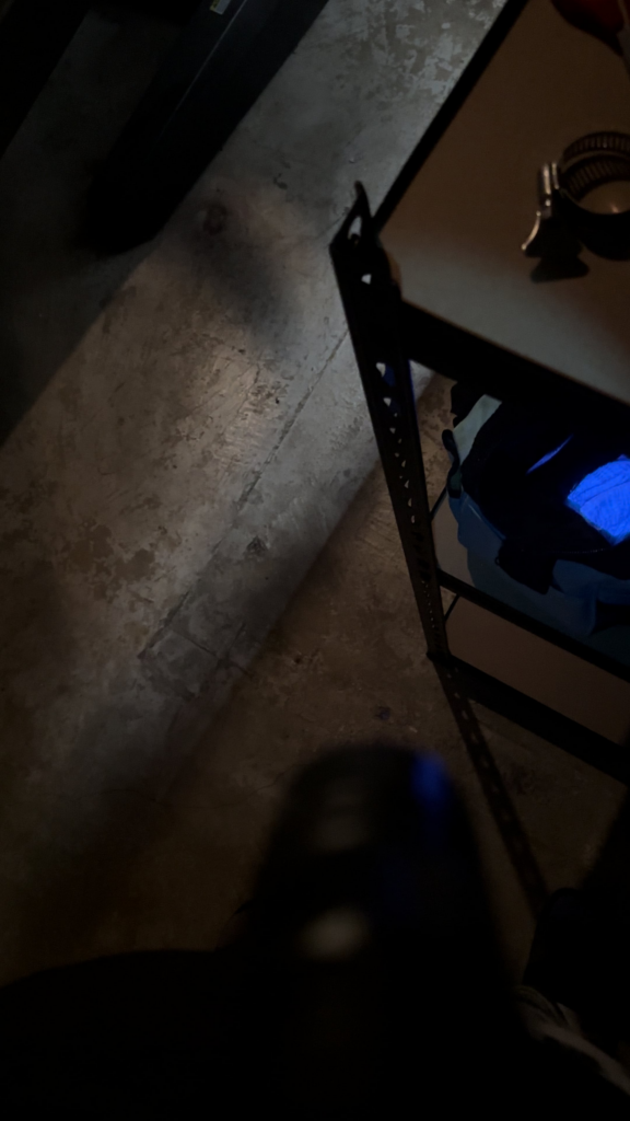 Hand under 365nm UV flashlight + through sunglasses. What is this??