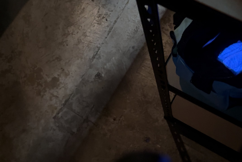 Hand under 365nm UV flashlight + through sunglasses. What is this??