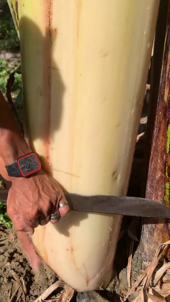 how did you use your knife today?