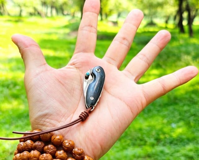 which one would you pick?