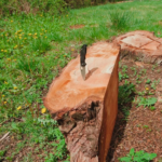 My choice of knife today