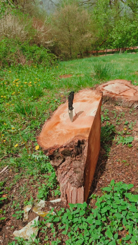 My choice of knife today