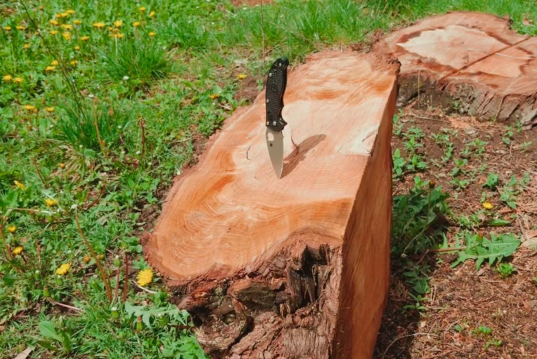 My choice of knife today