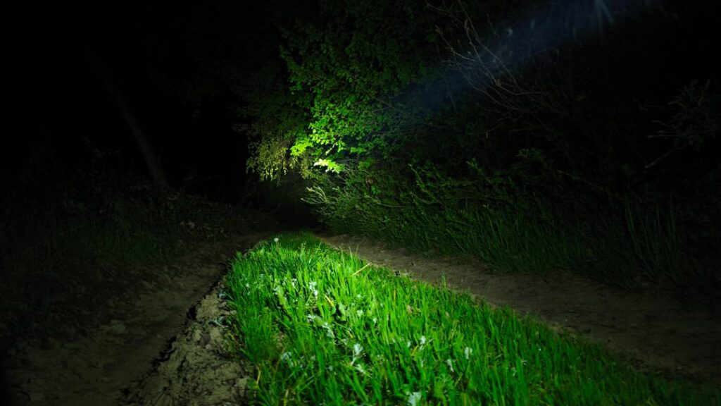 Have you ever used the palm of your hand as a reflector?