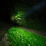 Have you ever used the palm of your hand as a reflector?