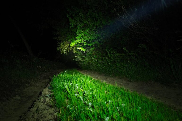 Have you ever used the palm of your hand as a reflector?