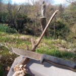 Vicon feather sticking