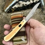 Beauty Beneath Painted Skylines