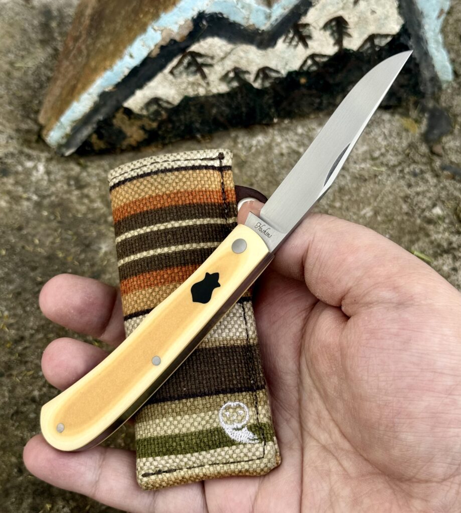 Beauty Beneath Painted Skylines