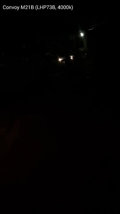 3AM Dog walks with the M21B