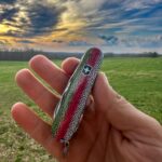 Couldn’t resist this DLT drop