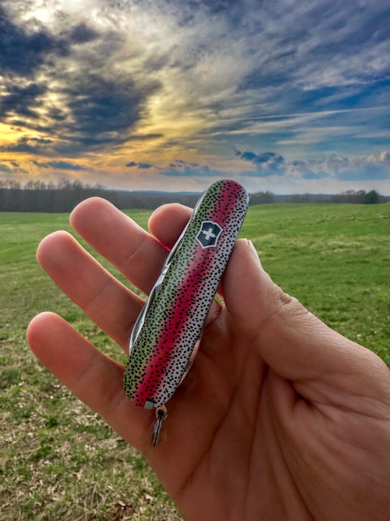 Couldn’t resist this DLT drop