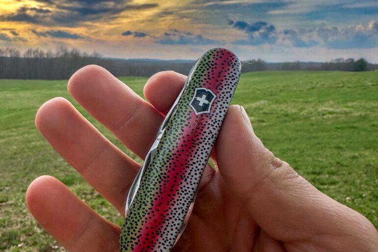 Couldn’t resist this DLT drop