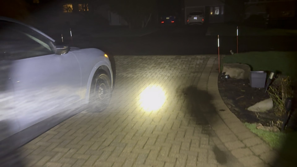 Foggy morning means beans🫘