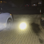 Foggy morning means beans🫘