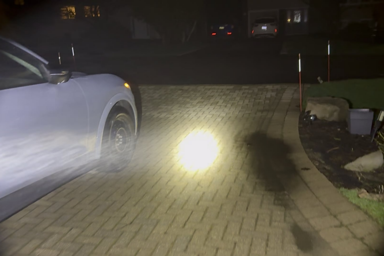 Foggy morning means beans🫘