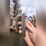 Cheburkov Raven in a fairytale place