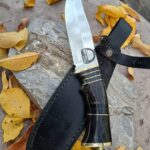 From the mountains of Georgia