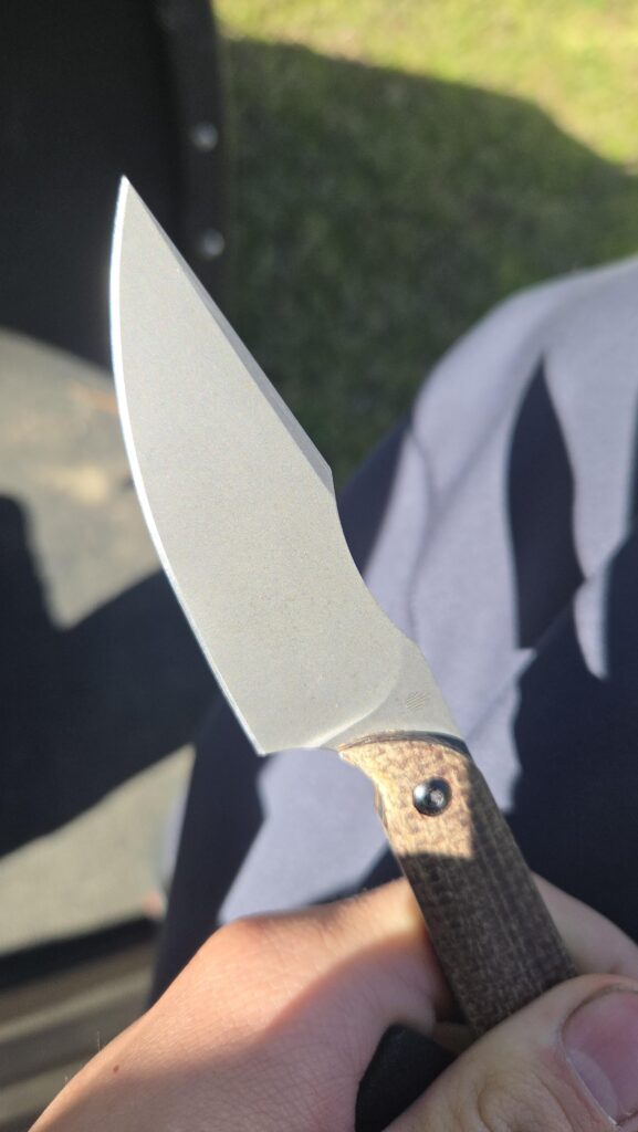 Brown spots on blade finish