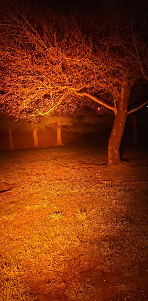 Fun in the 1500s.. Kelvin