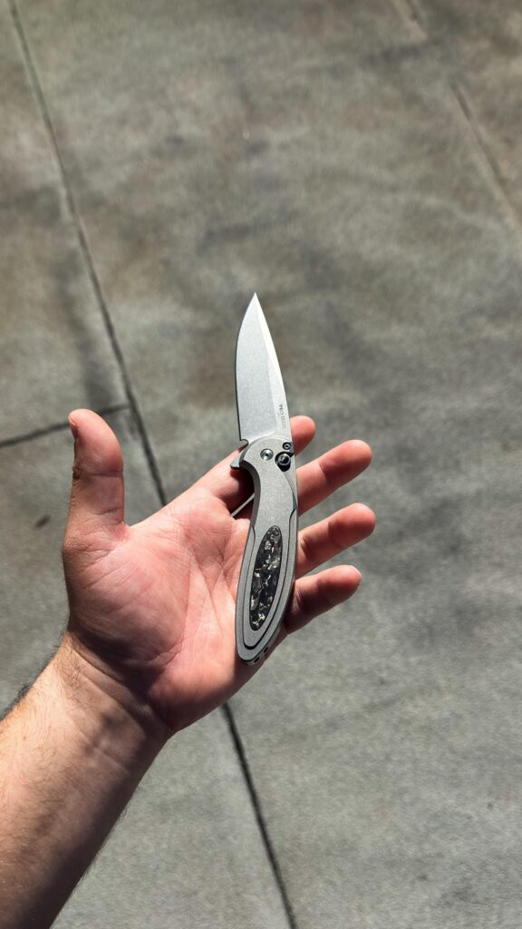 Sunday Carry • Pro-Tech Cambria 2 (Steel)