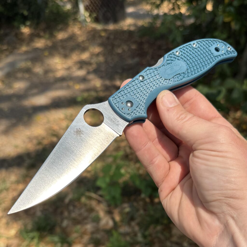Pocket Sword Friday