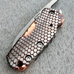 Fellhoelter Frikky with SC scales