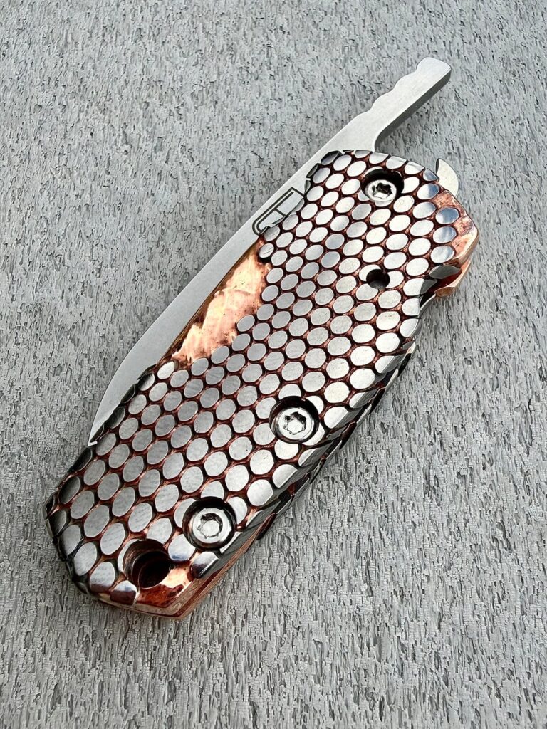 Fellhoelter Frikky with SC scales