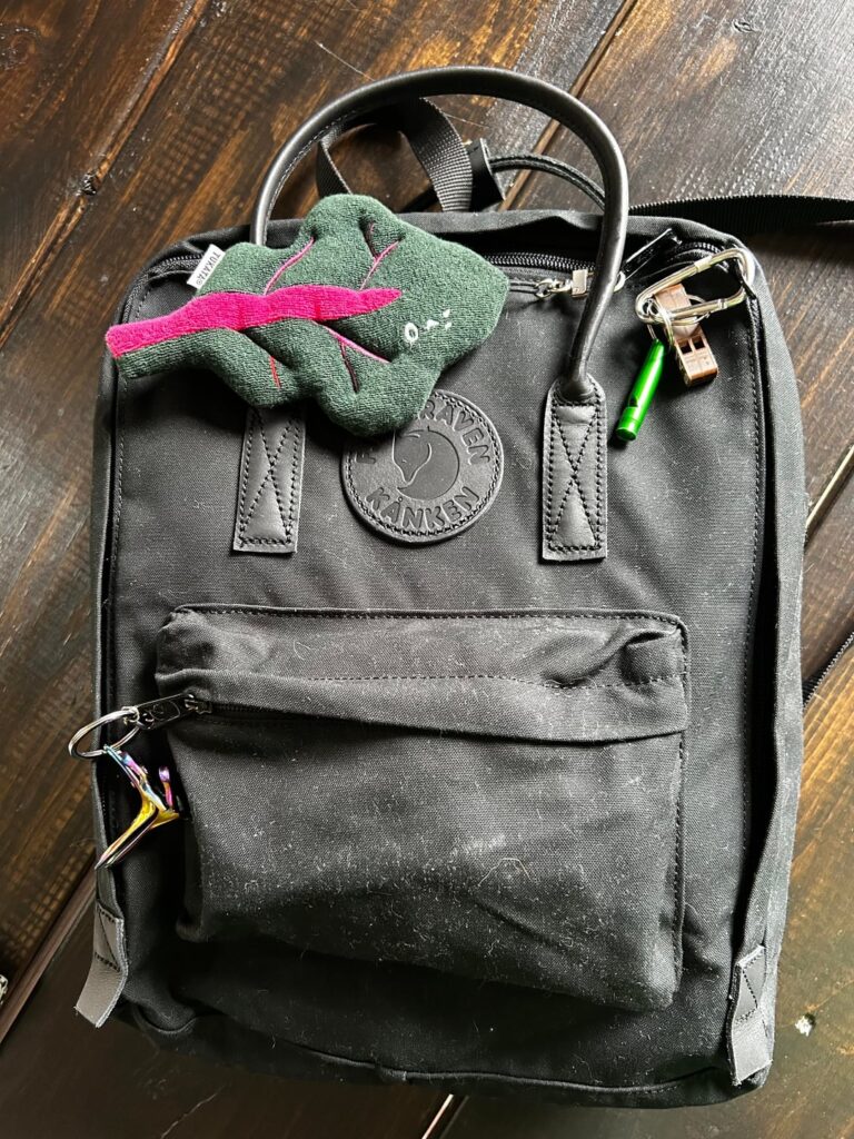 EDC/work bag