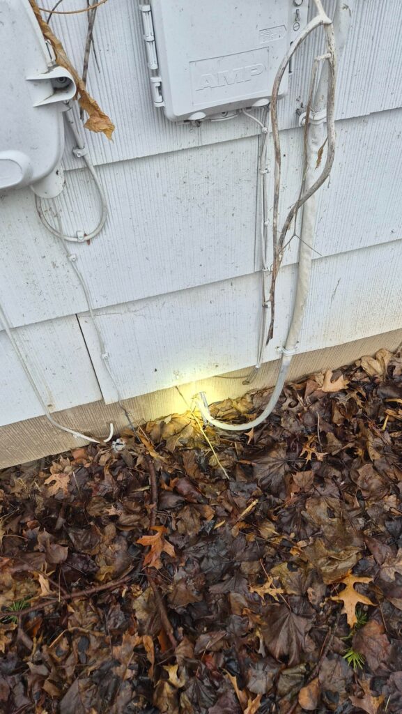 M21A SFT40 Cuts through the sunlight