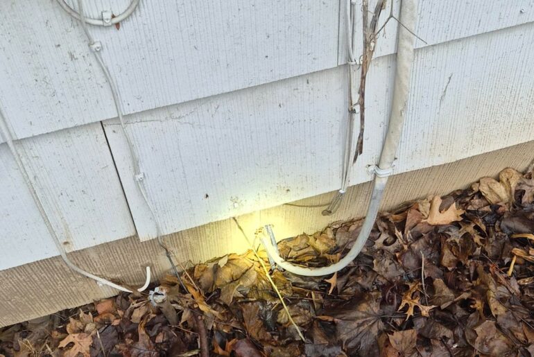 M21A SFT40 Cuts through the sunlight