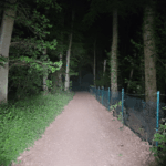 Some IF23 ProX1 Beans, finally