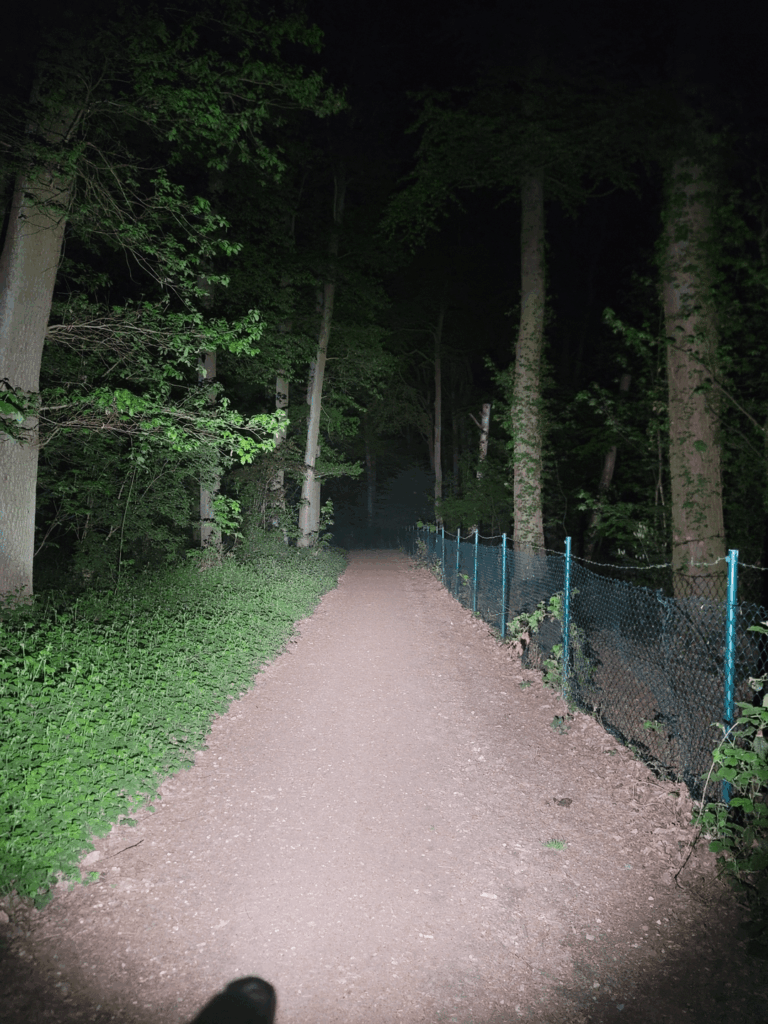 Some IF23 ProX1 Beans, finally