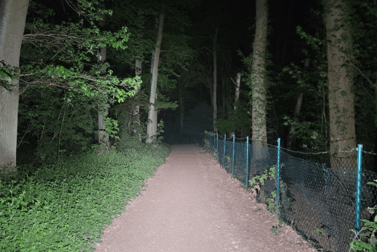 Some IF23 ProX1 Beans, finally