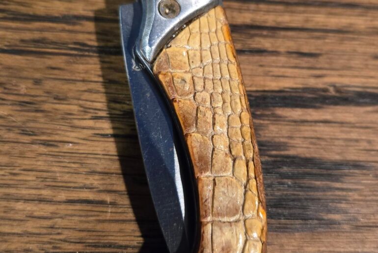 No-name? "alligator" auto