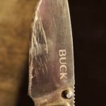 It's had a rough life.