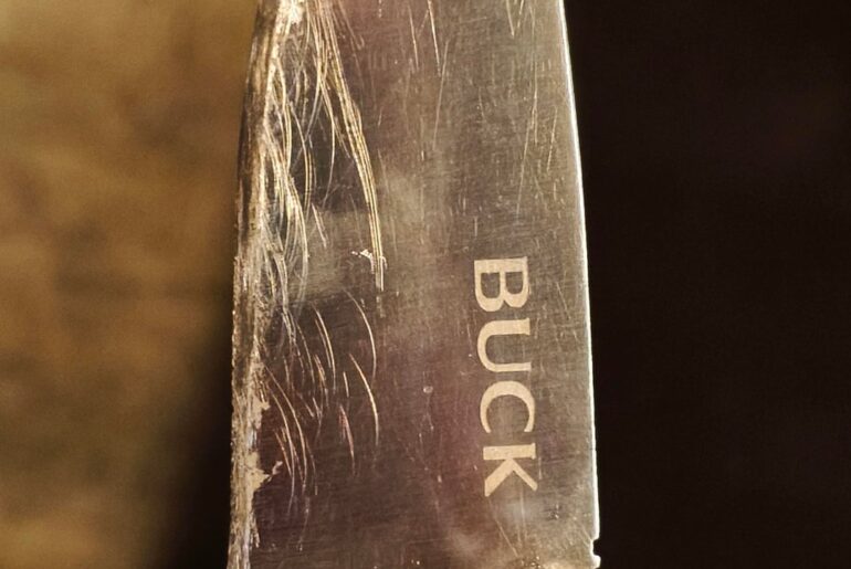 It's had a rough life.