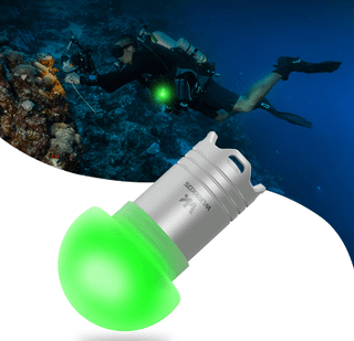 Wurkkos New Release: DL04