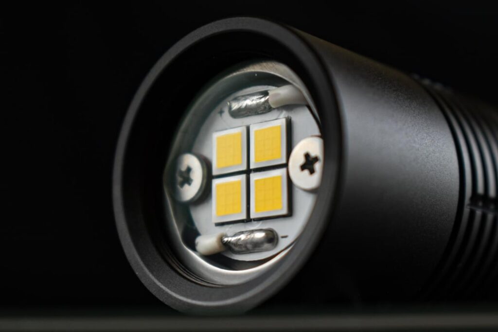 [NBD] S11 Quad LHP531 Mule + 🫘!