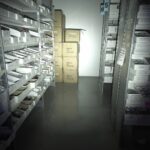 NV1010 FET Driven M21A