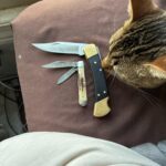 Give me suggestions!