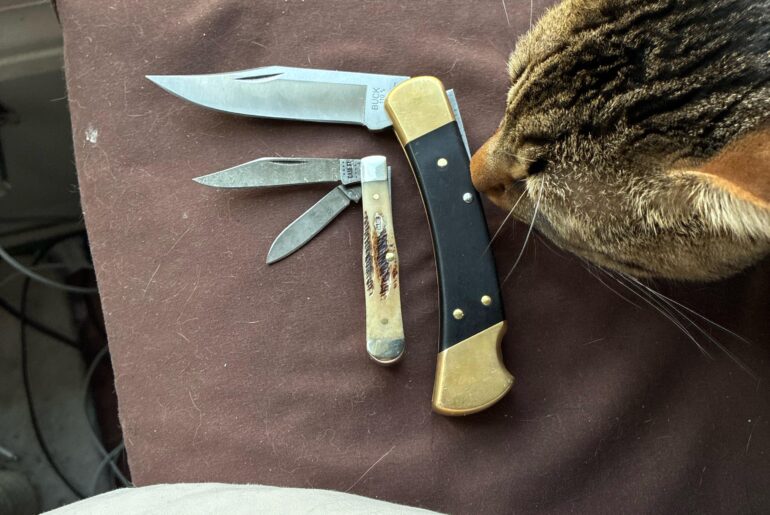 Give me suggestions!