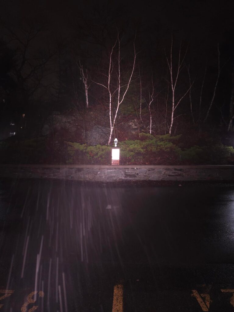 Some lazy foggy D4K 🫘