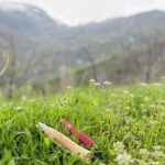 Spring and the little preparations…