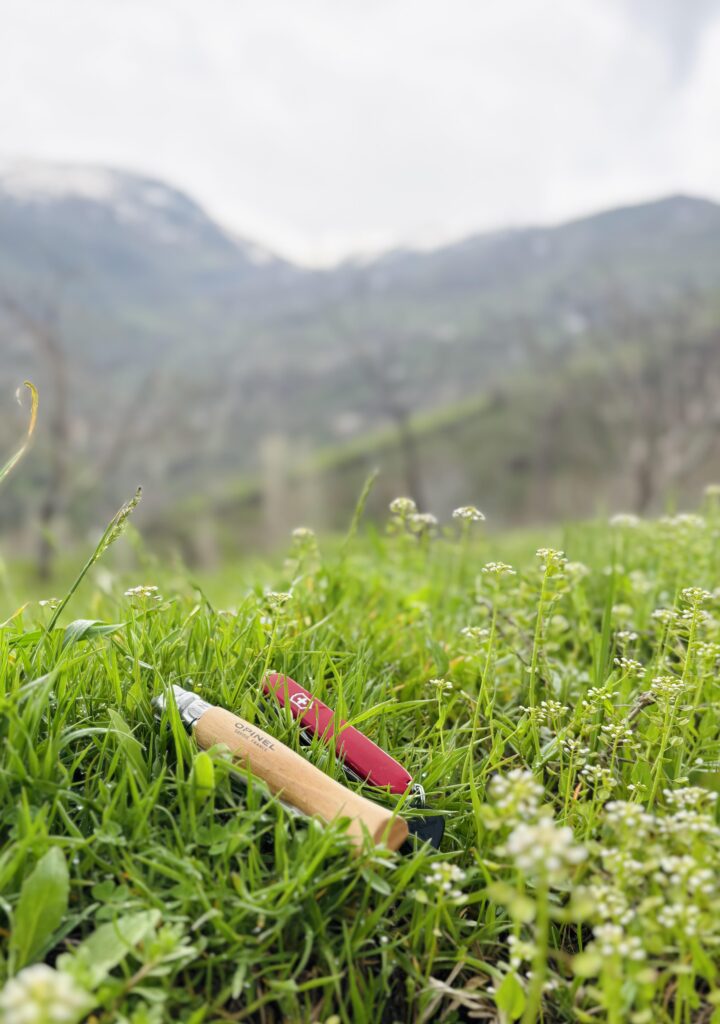 Spring and the little preparations…