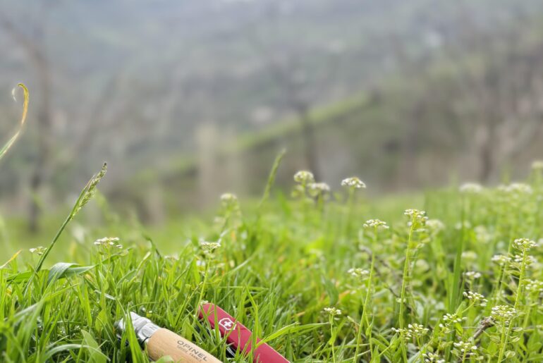 Spring and the little preparations…