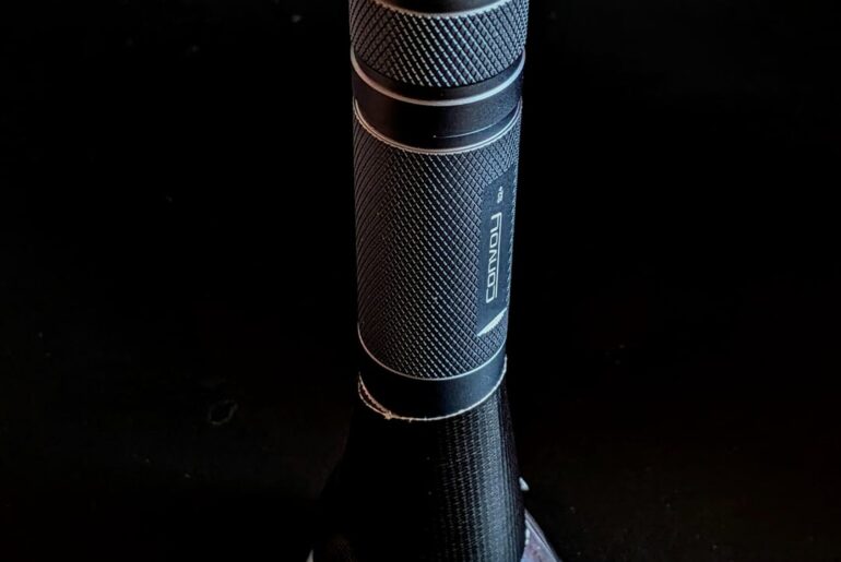 I've seen the light! Mules are stupid