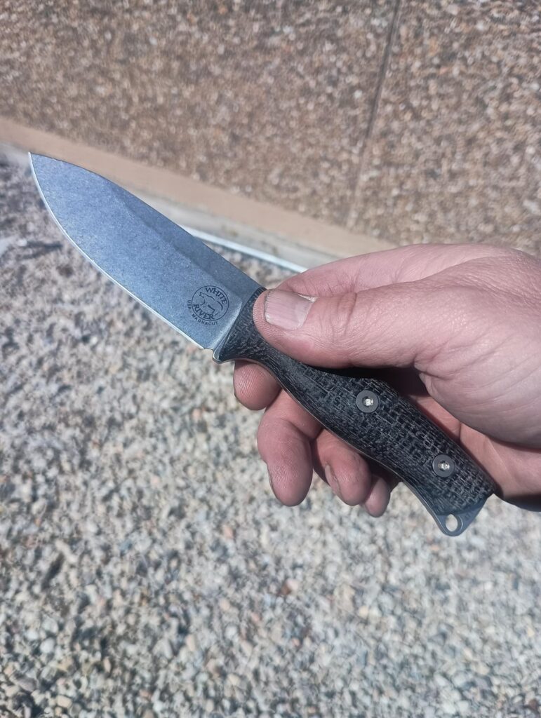 White River Ursus Cub 🥰