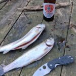 I've had this spiderco efficient for 6 years