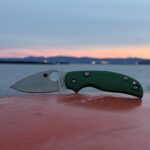 NKD: Sage 6 AWT Squatch scales 🫈